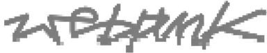 Webpunk